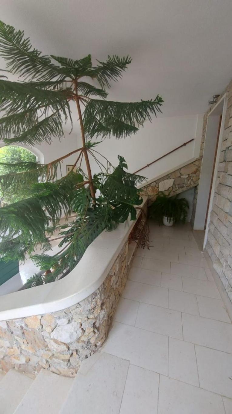 Apartment Brane Bol Ngoại thất bức ảnh